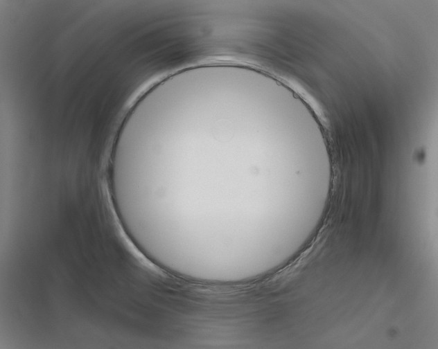 X0000116461476201001201250