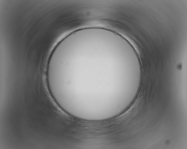 X0000116461477201001201250