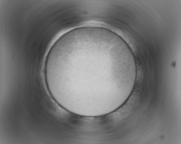 X0000116461478201001201250