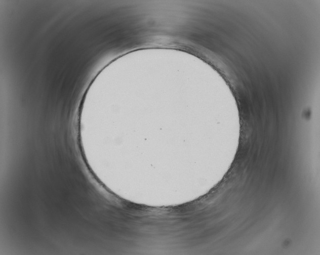 X0000116461479201001201250