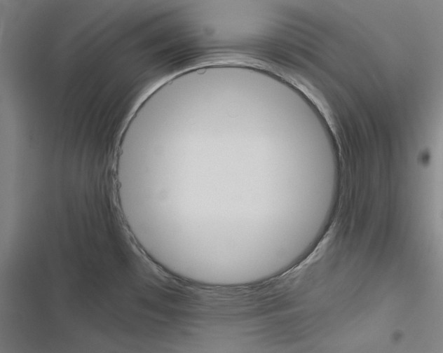 X0000116461481201001201250