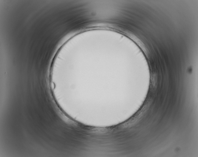X0000116461482201001201250