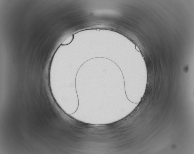 X0000116461483201001201250