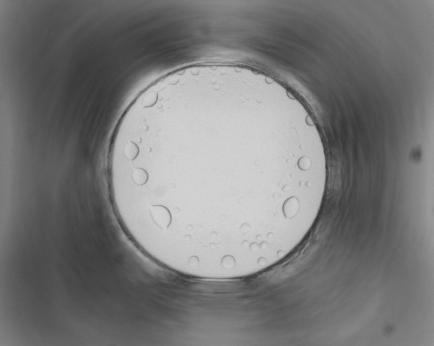 X0000116461487201001201250