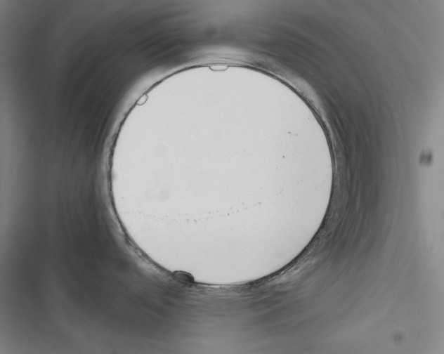 X0000116461488201001201250