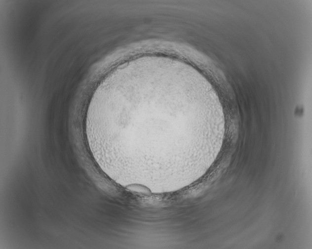 X0000116461489201001201249