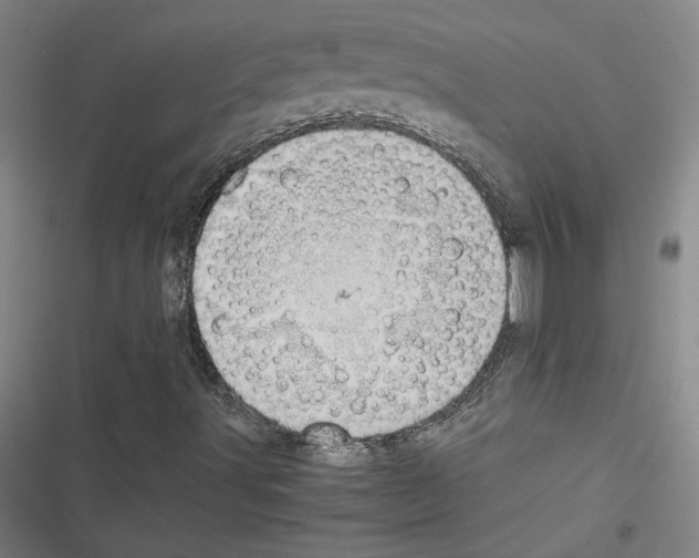 X0000116461491201001201249