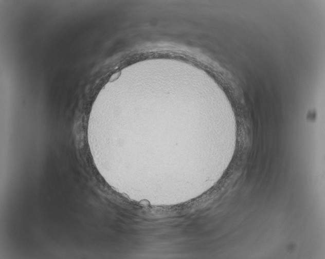 X0000116461493201001201249