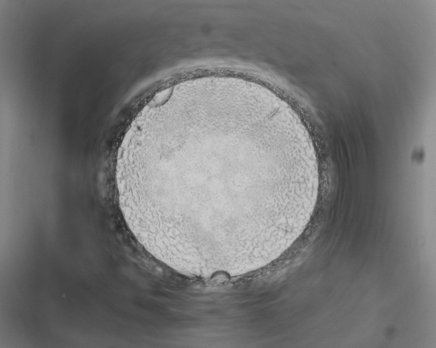 X0000116461494201001201249