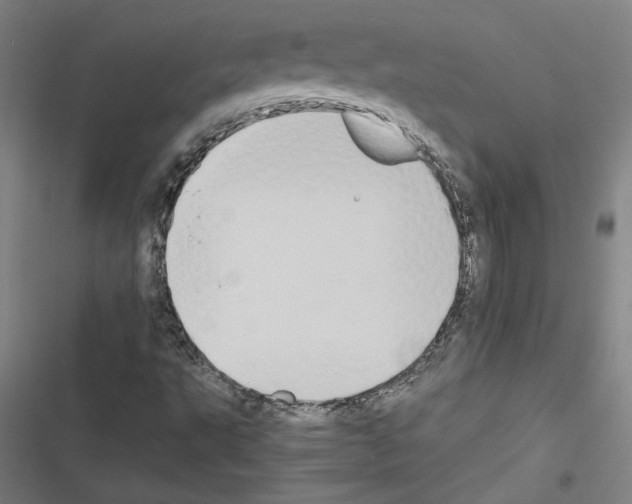 X0000116461495201001201249