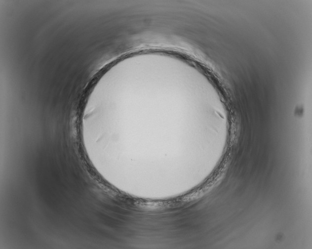 X0000116461497201001201249