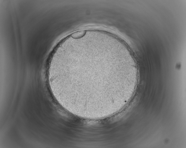 X0000116461501201001201249