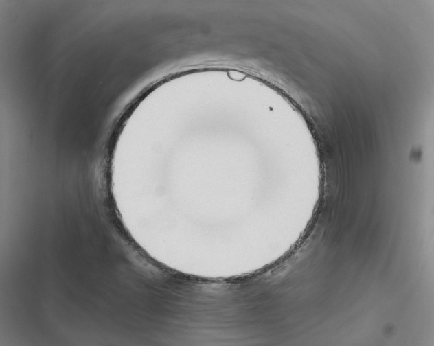 X0000116461502201001201249