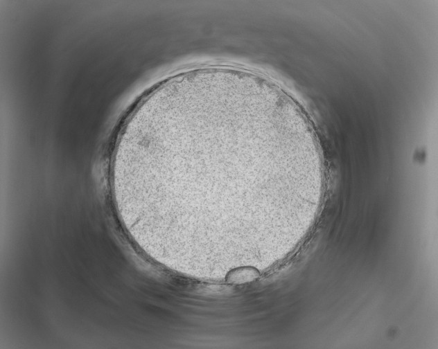 X0000116461503201001201249