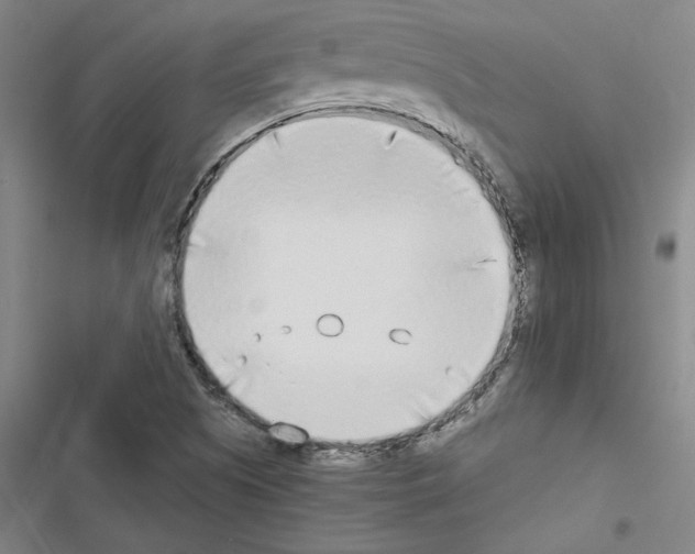 X0000116461505201001201249