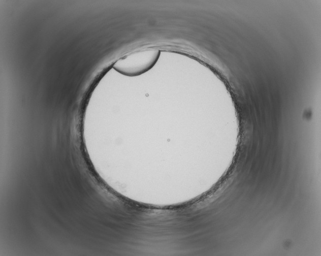 X0000116461506201001201249