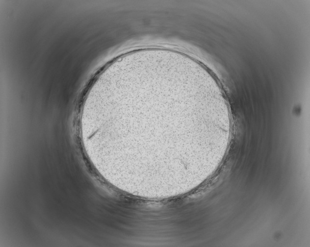X0000116461507201001201249