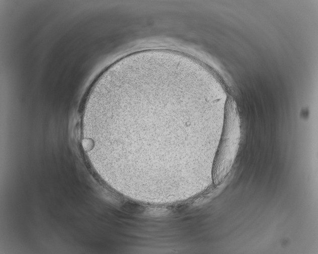 X0000116461509201001201249