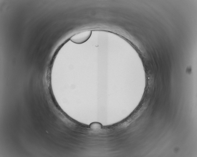 X0000116461510201001201249