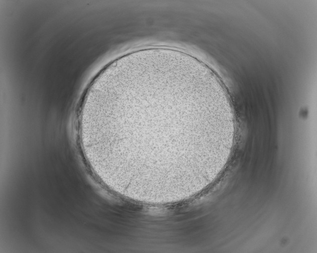 X0000116461511201001201249