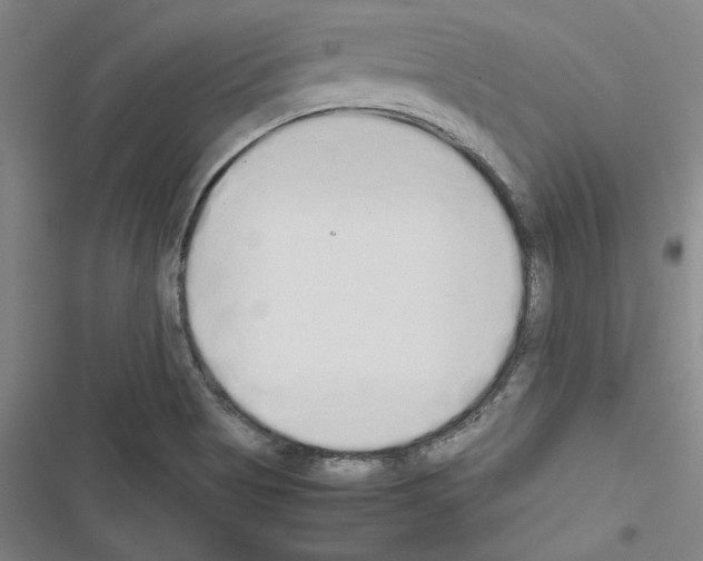 X0000116461513201001201249