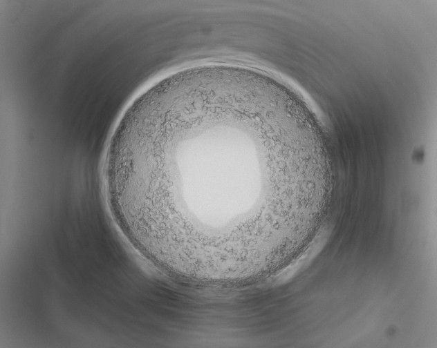 X0000116461514201001201249