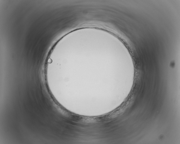 X0000116461517201001201249