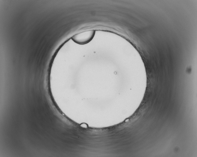X0000116461518201001201249