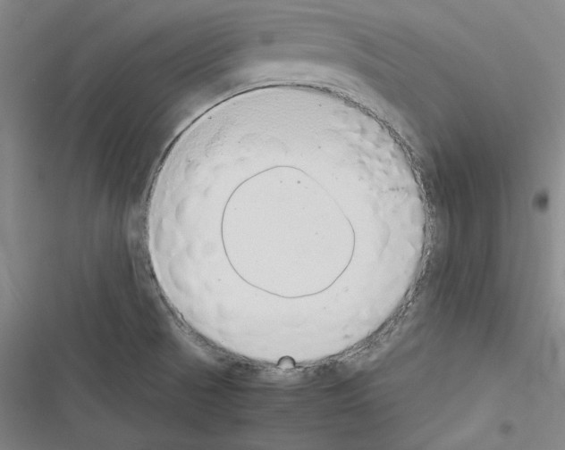 X0000116461521201001201249