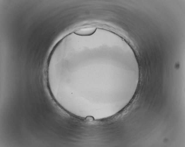 X0000116461522201001201249