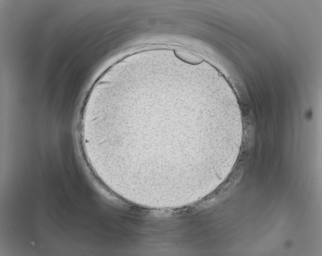X0000116461523201001201249