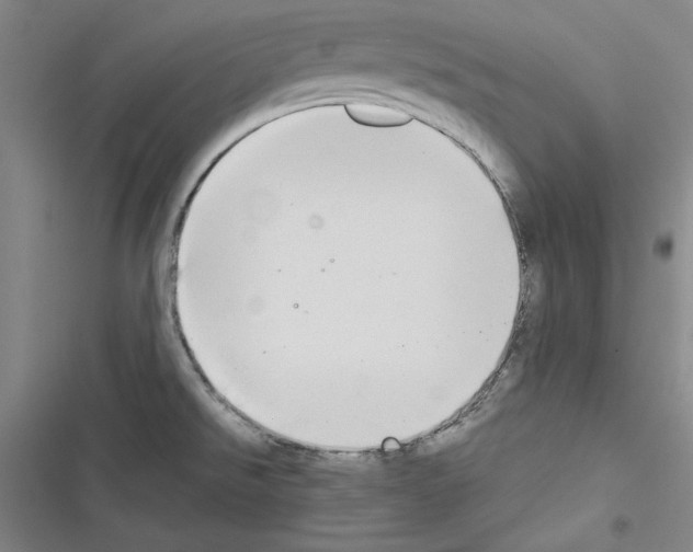X0000116461526201001201249