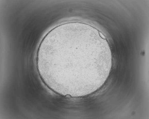 X0000116461527201001201249