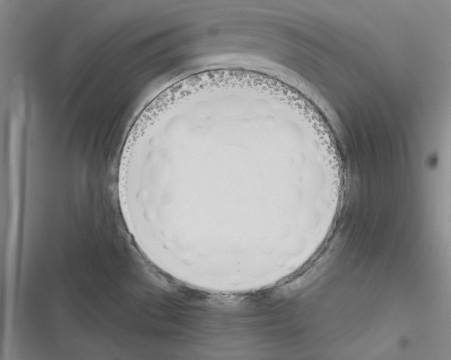 X0000116461529201001201249