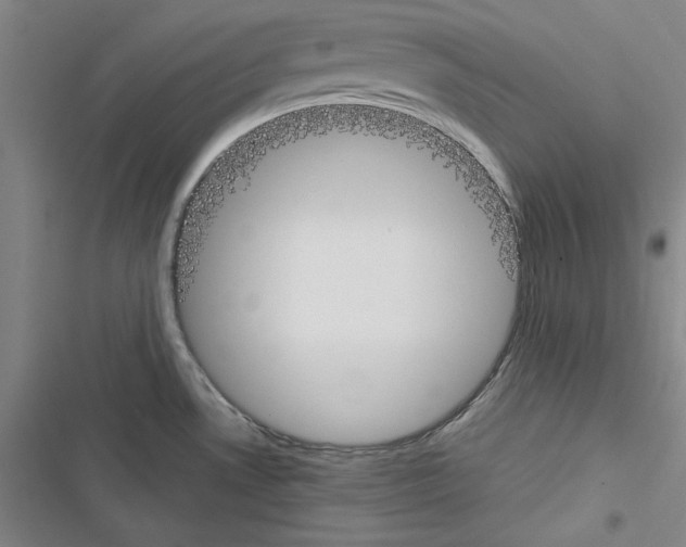 X0000116461530201001201249