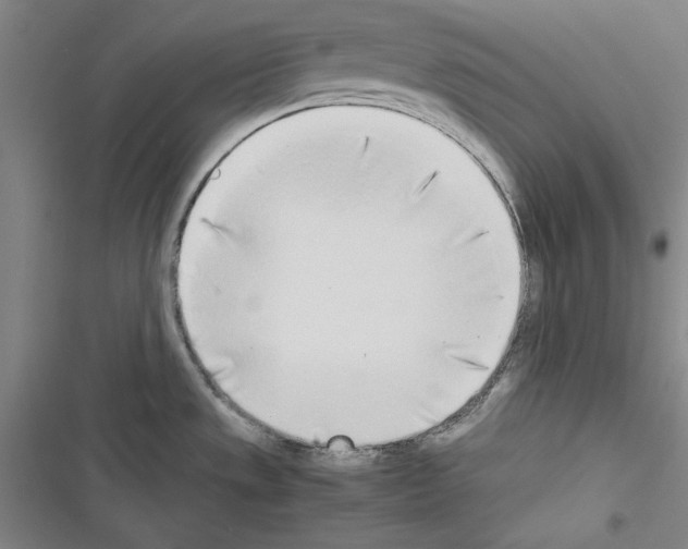 X0000116461533201001201250