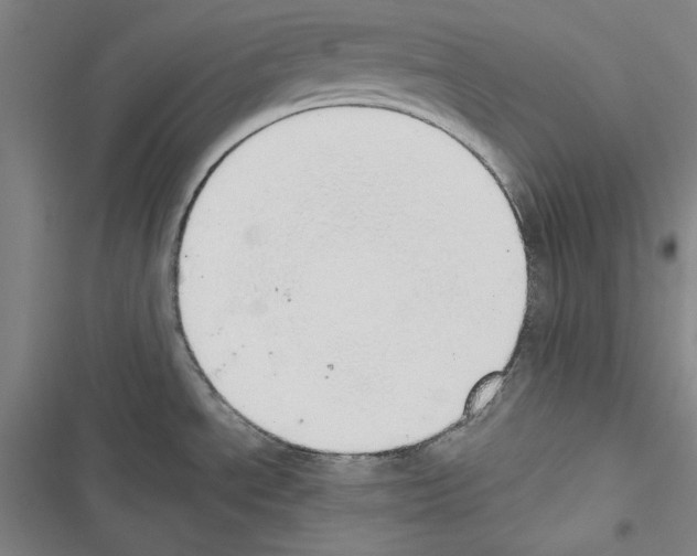 X0000116461534201001201250