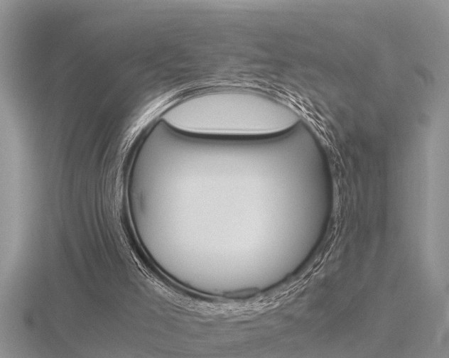 X0000116480005200912090936