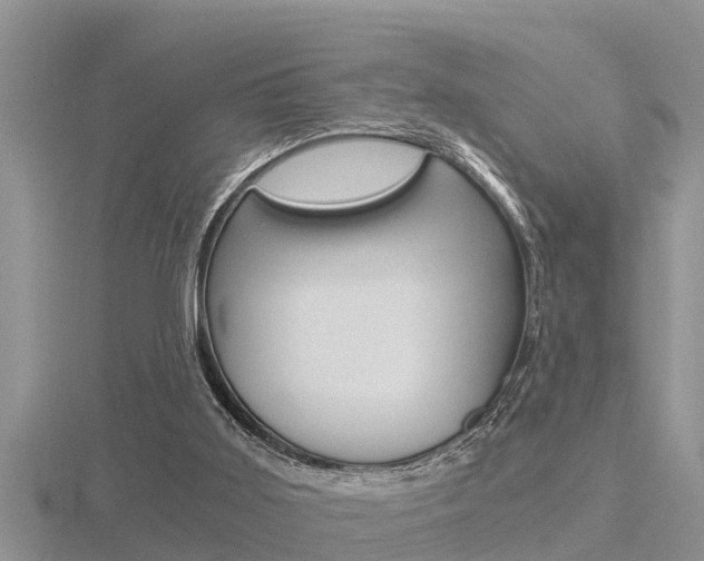 X0000116480011200912090936