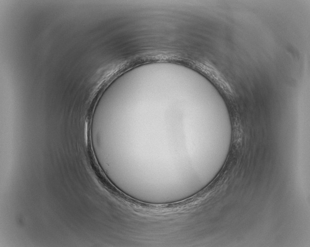 X0000116480014200912090936