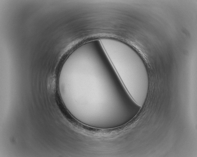 X0000116480016200912090936