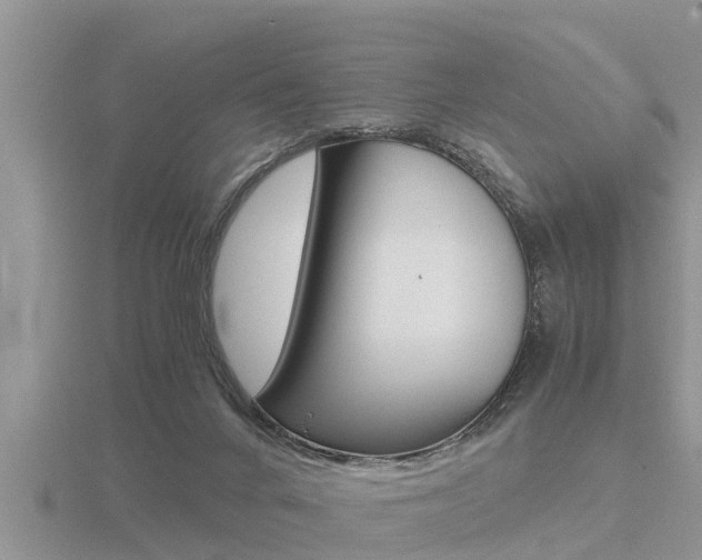 X0000116480024200912090936
