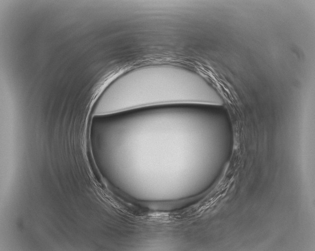 X0000116480052200912090935