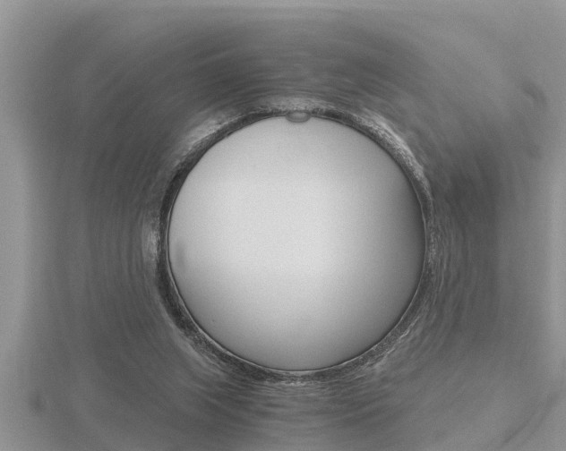 X0000116480063200912090935