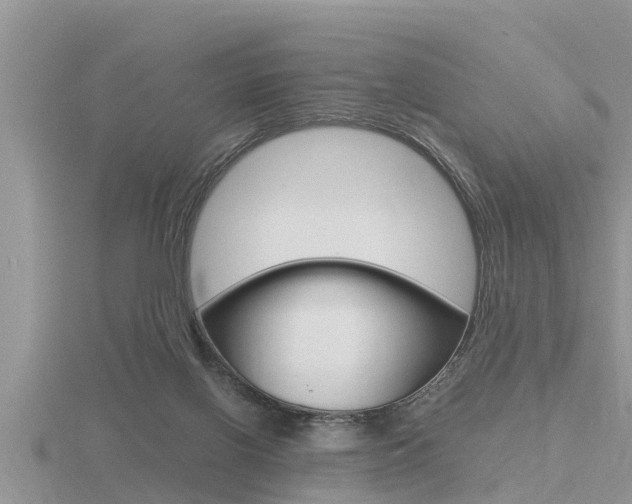 X0000116480070200912090935