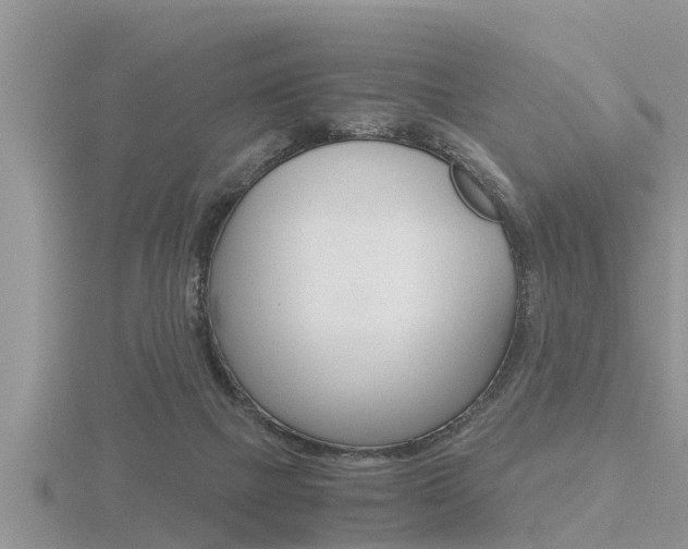 X0000116480073200912090935