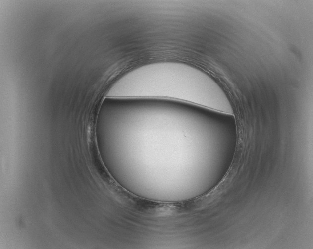 X0000116480124200912090935