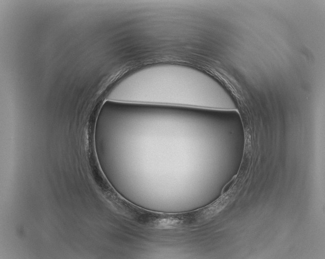 X0000116480158200912090934