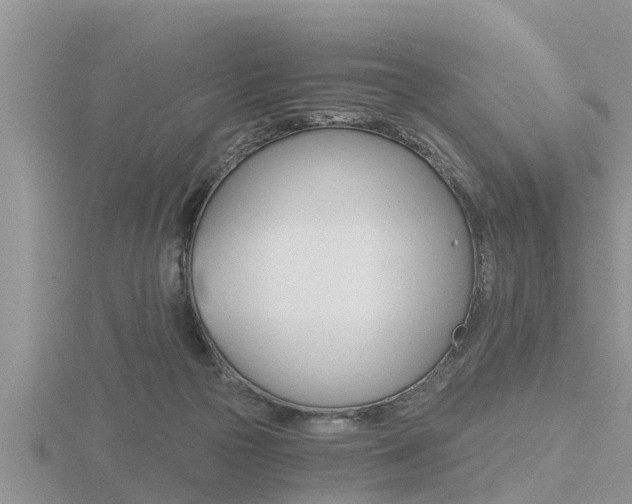 X0000116480169200912090934