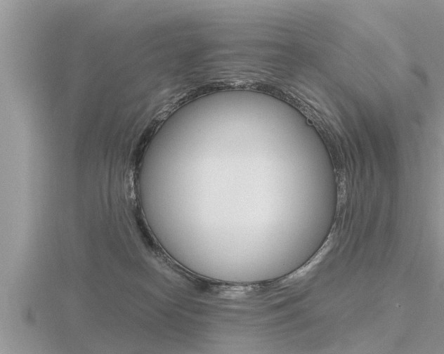 X0000116480182200912090934